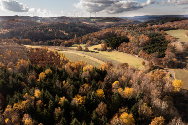 Drohnenfotografie -Luftaufnahme im Herbst Laubwald - Fotograf Andreas Heu (2)
