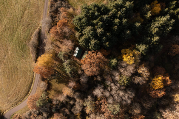 Drohnenfotografie -Luftaufnahme im Herbst Laubwald - Fotograf Andreas Heu (4)