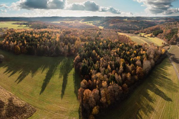 Drohnenfotografie -Luftaufnahme im Herbst Laubwald - Fotograf Andreas Heu (5)